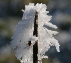 Winterimpressionen 037.jpg